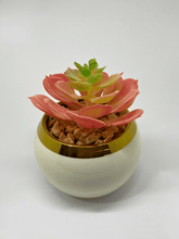 Artificial Succulent in White Ceramic Planter